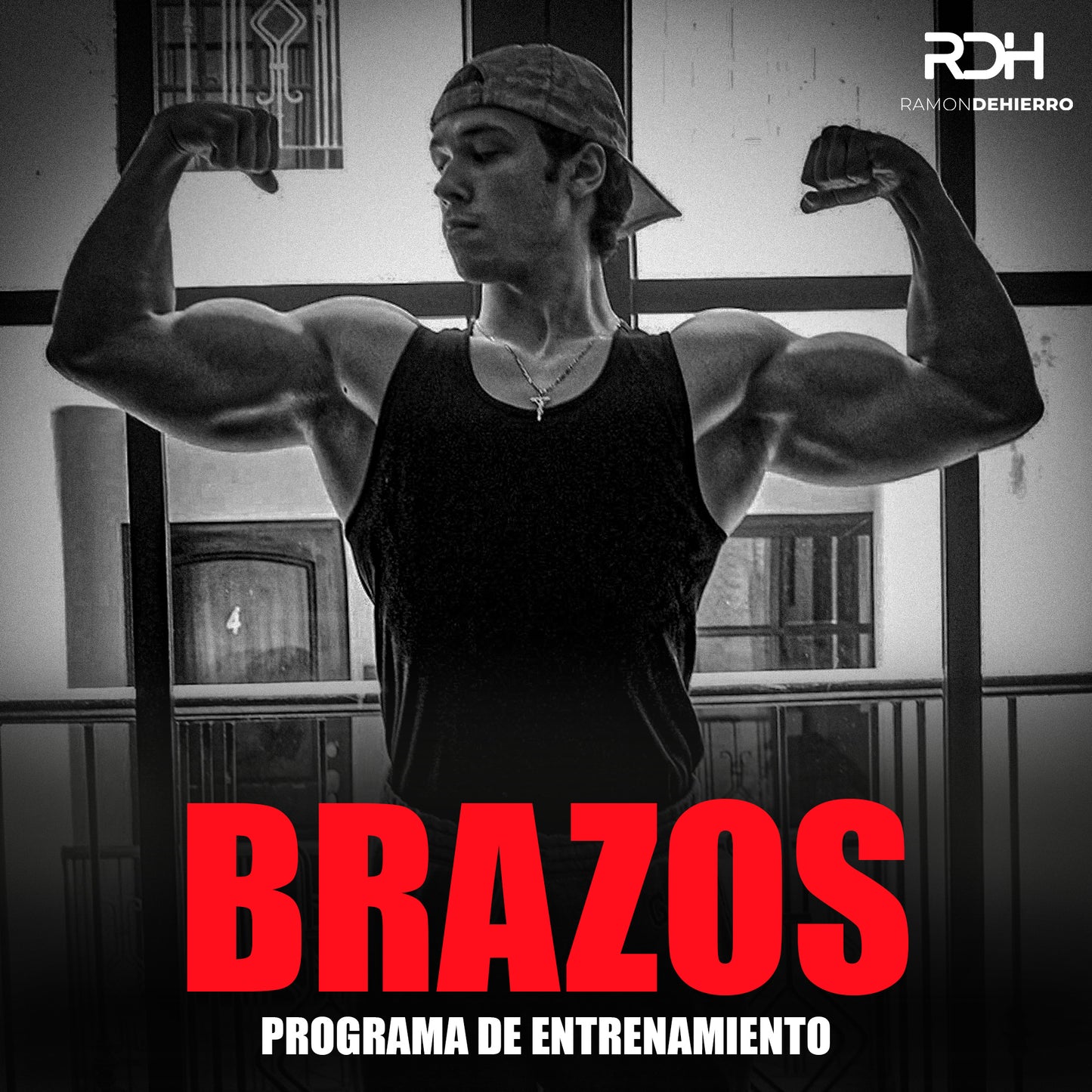 Brazos: Programa de Entrenamiento Completo